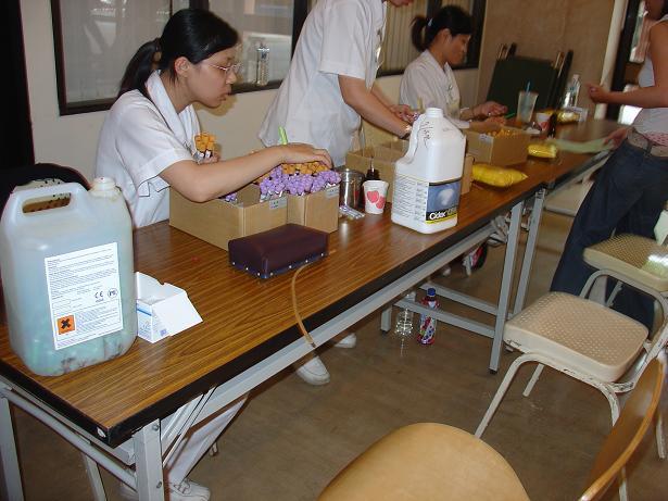 95學年度新生健康檢查圖片